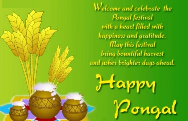 Happy Pongal images with quotes (2)