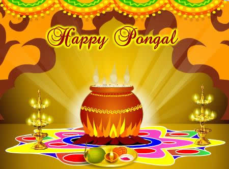 Happy pongal 2016 fb profile pic whatsapp dp (1)