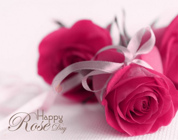 Happy Rose Day 2016 Images wallpapers pictures (14)