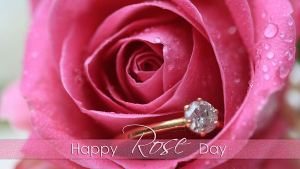 Happy Rose Day 2016 Images wallpapers pictures (17)
