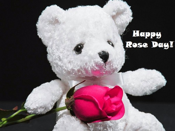 Happy Rose Day 2016 Images wallpapers pictures (18)