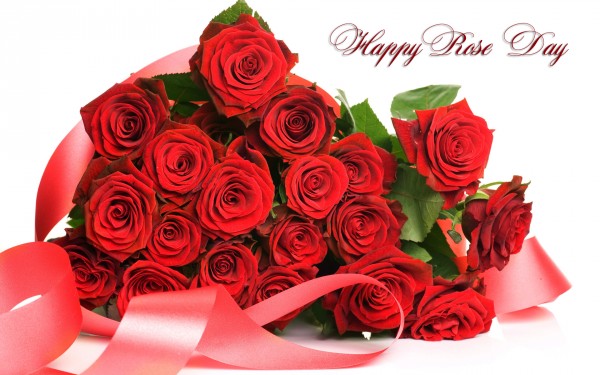 Rose Day Wallpapers, Images, Pics, Photos, Photo Gallery