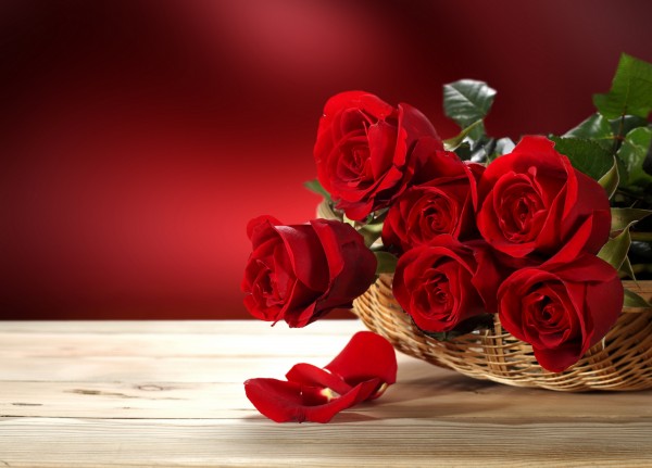 Happy Rose Day 2016 Images wallpapers pictures (3)