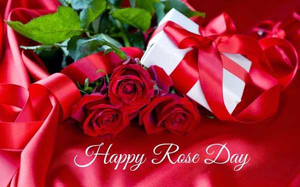 Happy Rose Day 2016 Images wallpapers pictures (7)