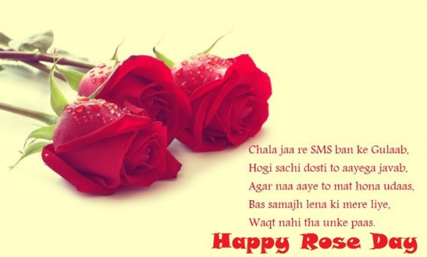Happy Rose Day 2016 wishes quotes (6)