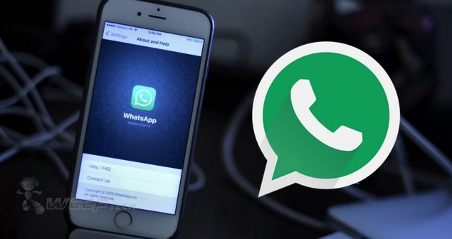Whatsapp For iPhone Gets Critical Bug Fix