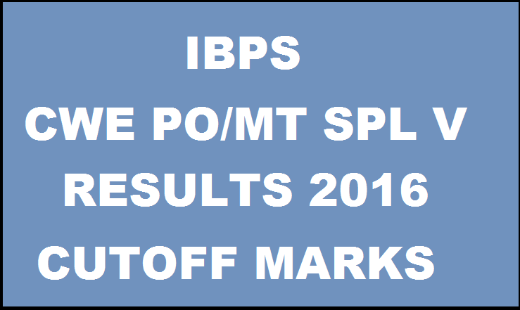IBPS CWE SO PO/MT V Combined Results 2016 Declared| Check Here @ www.ibps.in With Cutoff Marks