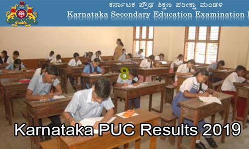 karnataka puc results 2019